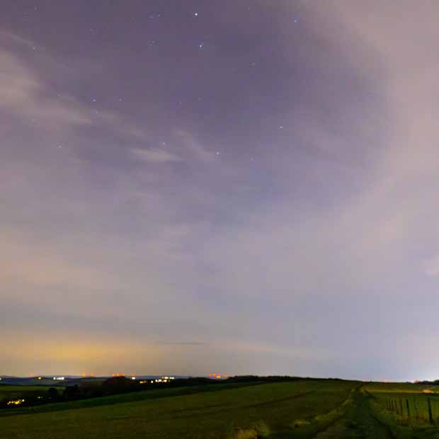 Plants: image 1 sur 4 thumb