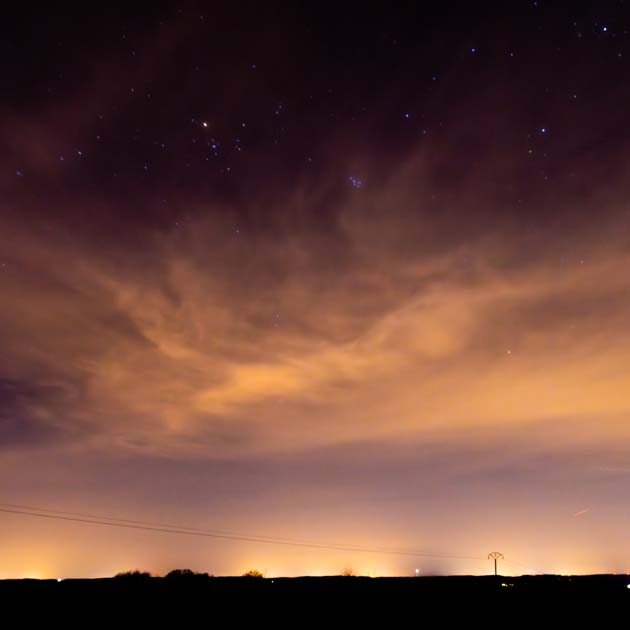 Plants: image 1 sur 4 thumb